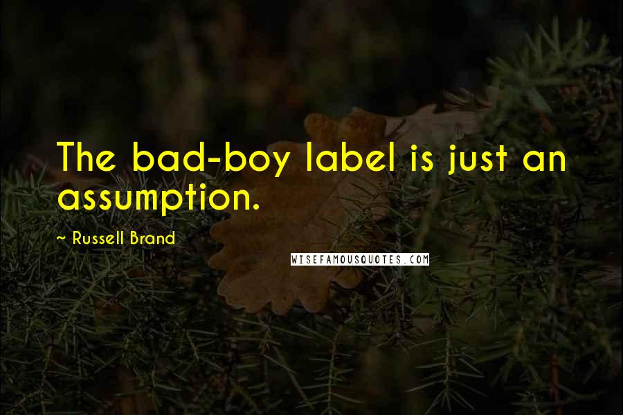Russell Brand Quotes: The bad-boy label is just an assumption.