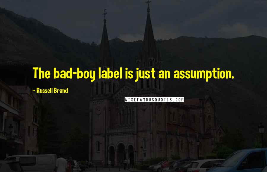 Russell Brand Quotes: The bad-boy label is just an assumption.