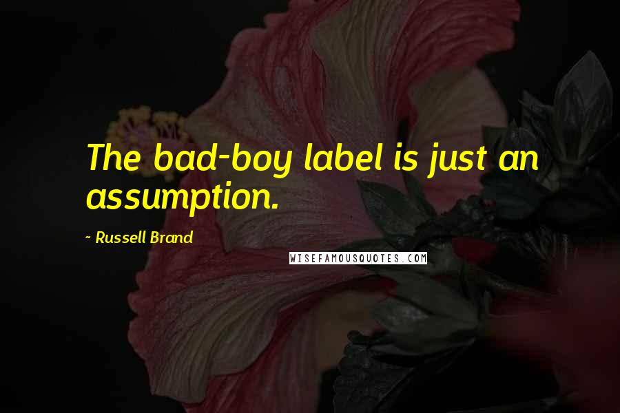 Russell Brand Quotes: The bad-boy label is just an assumption.