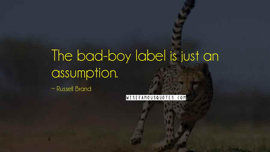 Russell Brand Quotes: The bad-boy label is just an assumption.
