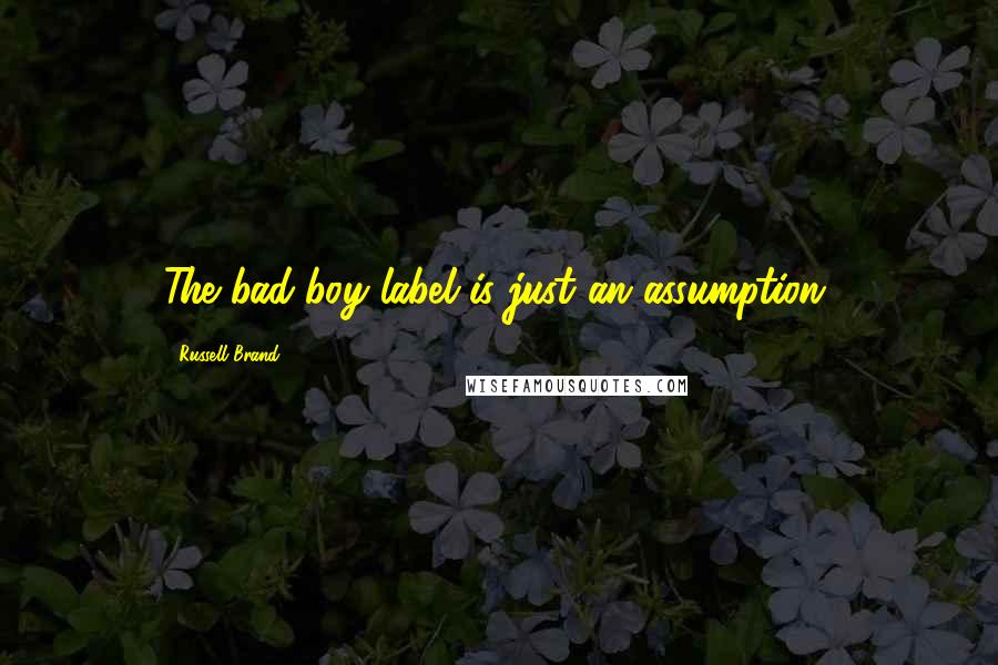 Russell Brand Quotes: The bad-boy label is just an assumption.