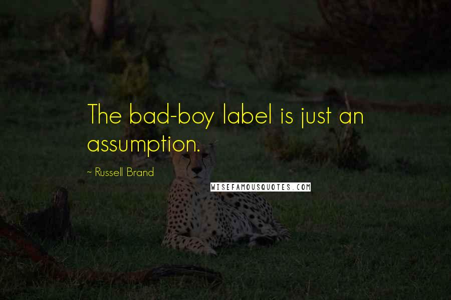 Russell Brand Quotes: The bad-boy label is just an assumption.