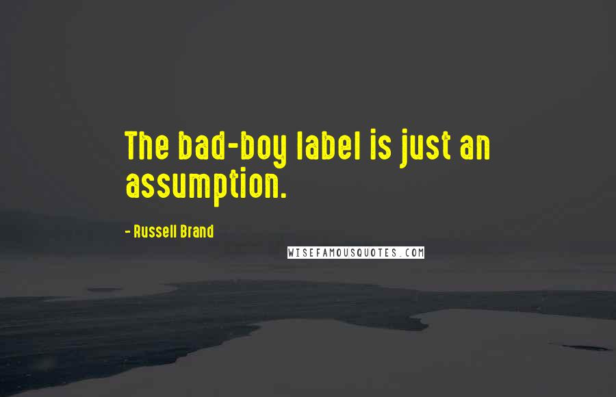 Russell Brand Quotes: The bad-boy label is just an assumption.