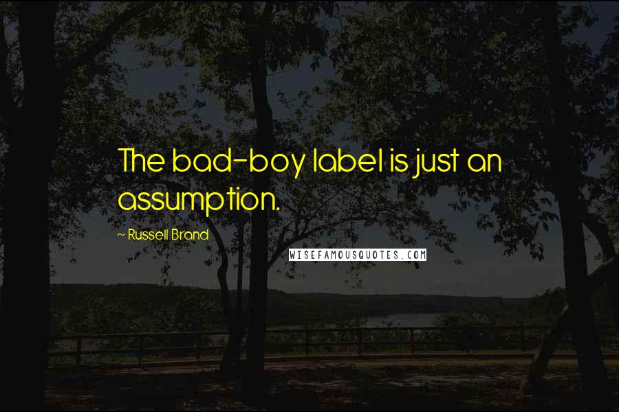 Russell Brand Quotes: The bad-boy label is just an assumption.