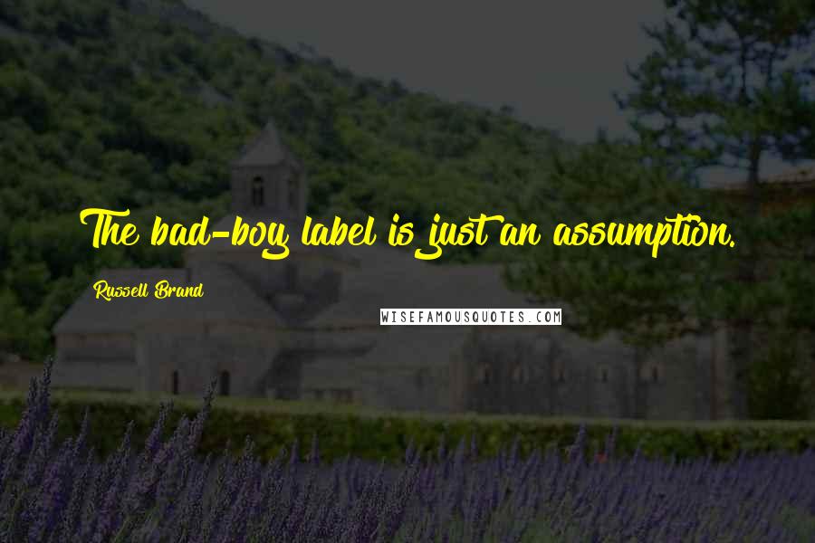 Russell Brand Quotes: The bad-boy label is just an assumption.