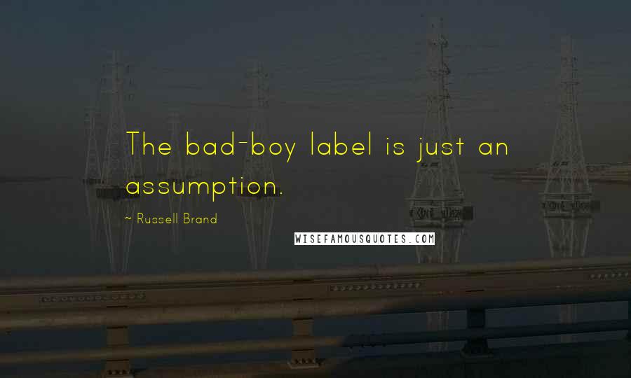 Russell Brand Quotes: The bad-boy label is just an assumption.