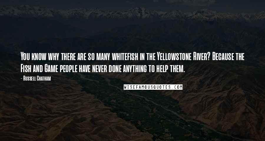 Russell Chatham Quotes: You know why there are so many whitefish in the Yellowstone River? Because the Fish and Game people have never done anything to help them.