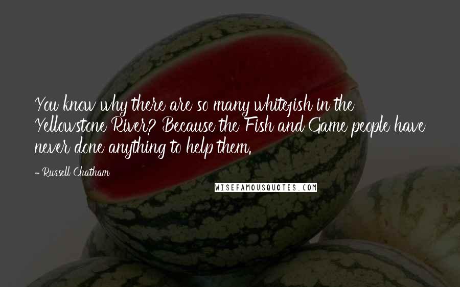 Russell Chatham Quotes: You know why there are so many whitefish in the Yellowstone River? Because the Fish and Game people have never done anything to help them.