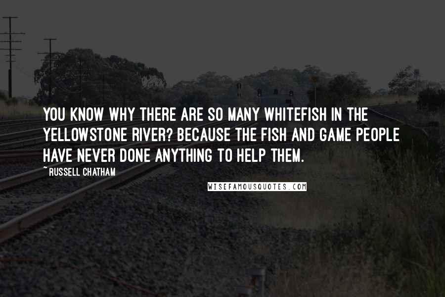 Russell Chatham Quotes: You know why there are so many whitefish in the Yellowstone River? Because the Fish and Game people have never done anything to help them.