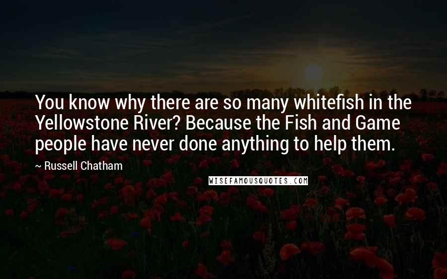 Russell Chatham Quotes: You know why there are so many whitefish in the Yellowstone River? Because the Fish and Game people have never done anything to help them.