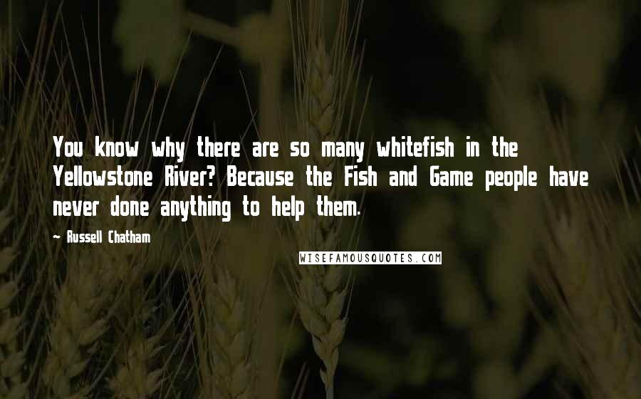 Russell Chatham Quotes: You know why there are so many whitefish in the Yellowstone River? Because the Fish and Game people have never done anything to help them.