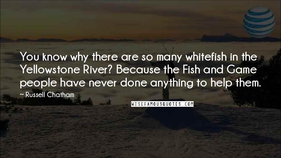 Russell Chatham Quotes: You know why there are so many whitefish in the Yellowstone River? Because the Fish and Game people have never done anything to help them.