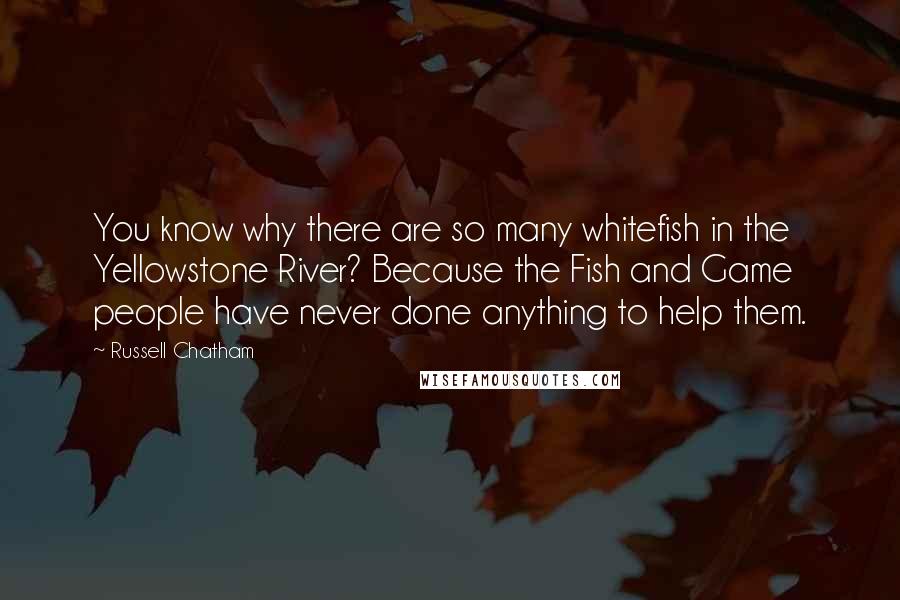 Russell Chatham Quotes: You know why there are so many whitefish in the Yellowstone River? Because the Fish and Game people have never done anything to help them.