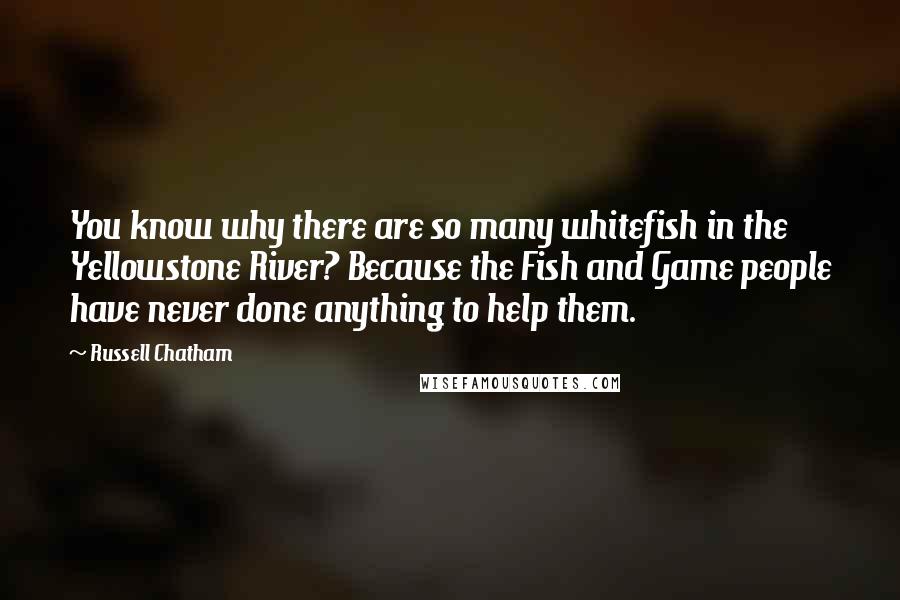 Russell Chatham Quotes: You know why there are so many whitefish in the Yellowstone River? Because the Fish and Game people have never done anything to help them.