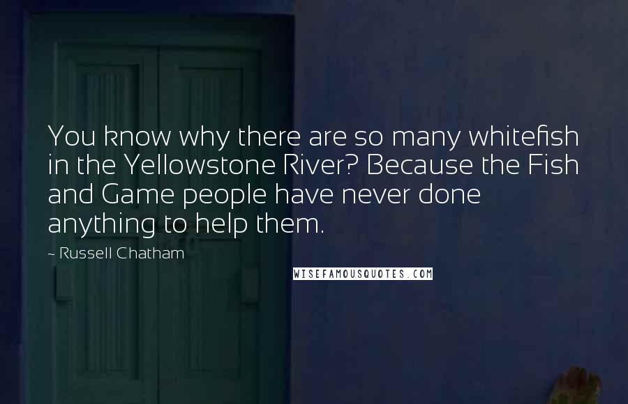 Russell Chatham Quotes: You know why there are so many whitefish in the Yellowstone River? Because the Fish and Game people have never done anything to help them.