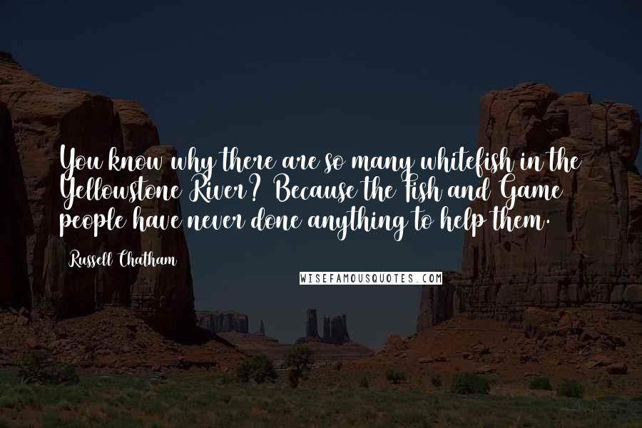 Russell Chatham Quotes: You know why there are so many whitefish in the Yellowstone River? Because the Fish and Game people have never done anything to help them.