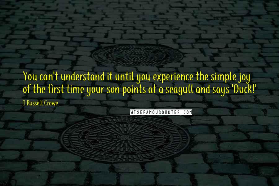 Russell Crowe Quotes: You can't understand it until you experience the simple joy of the first time your son points at a seagull and says 'Duck!'