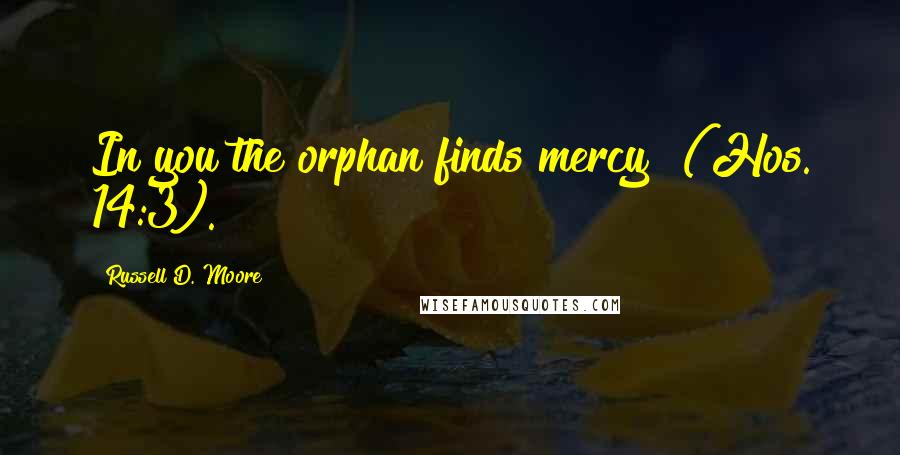 Russell D. Moore Quotes: In you the orphan finds mercy" (Hos. 14:3).