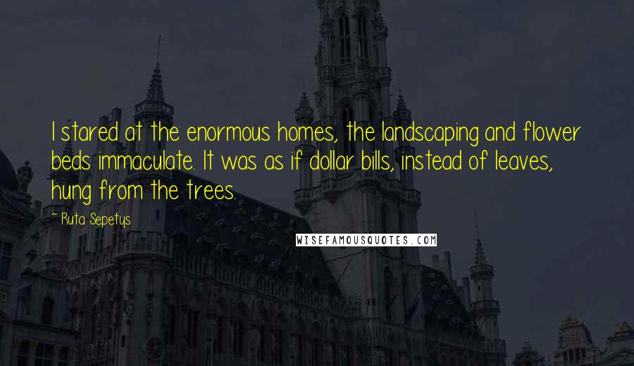 Ruta Sepetys Quotes: I stared at the enormous homes, the landscaping and flower beds immaculate. It was as if dollar bills, instead of leaves, hung from the trees.