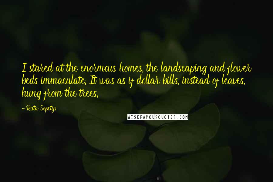 Ruta Sepetys Quotes: I stared at the enormous homes, the landscaping and flower beds immaculate. It was as if dollar bills, instead of leaves, hung from the trees.