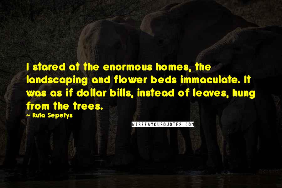 Ruta Sepetys Quotes: I stared at the enormous homes, the landscaping and flower beds immaculate. It was as if dollar bills, instead of leaves, hung from the trees.