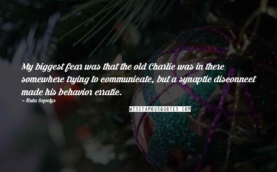 Ruta Sepetys Quotes: My biggest fear was that the old Charlie was in there somewhere trying to communicate, but a synaptic disconnect made his behavior erratic.