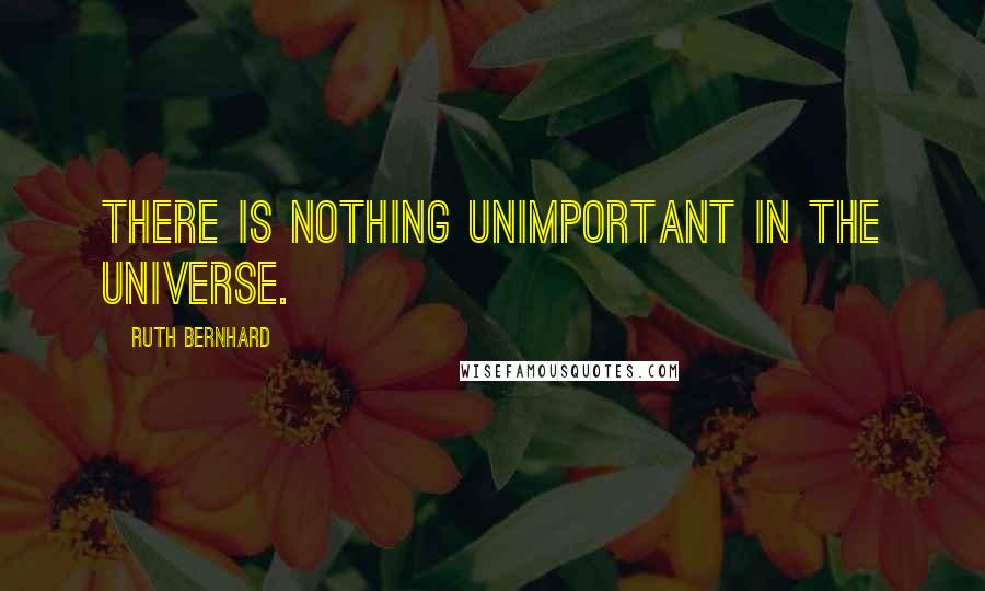 Ruth Bernhard Quotes: There is nothing unimportant in the universe.