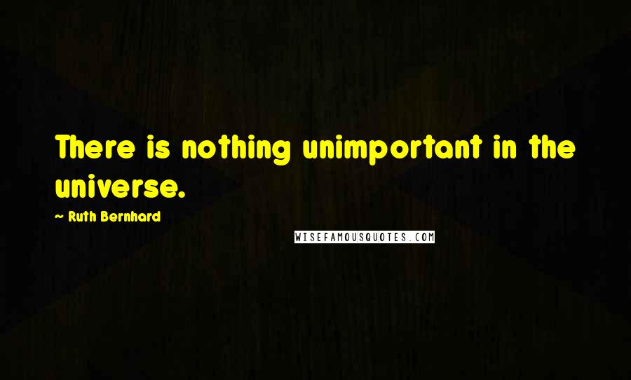Ruth Bernhard Quotes: There is nothing unimportant in the universe.