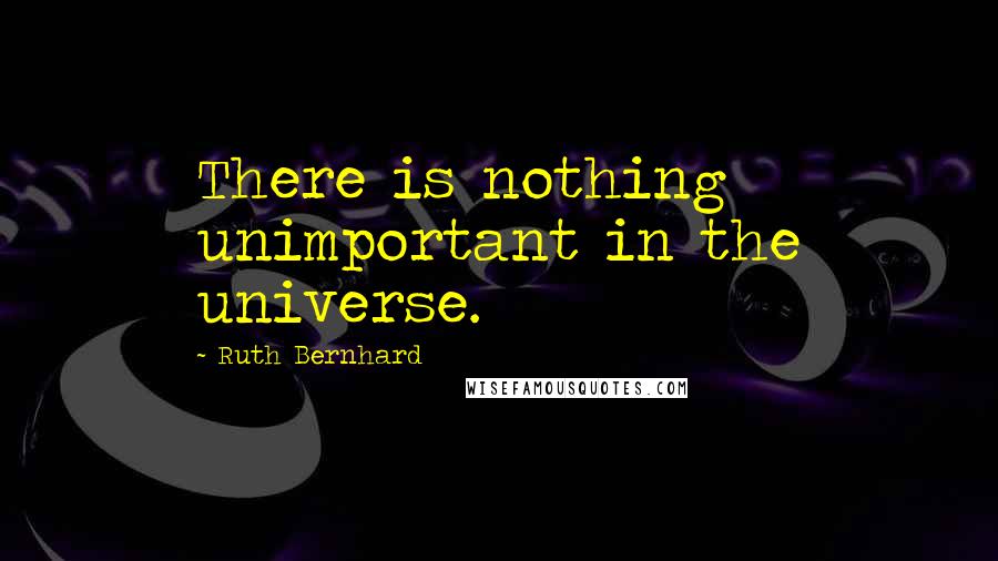 Ruth Bernhard Quotes: There is nothing unimportant in the universe.