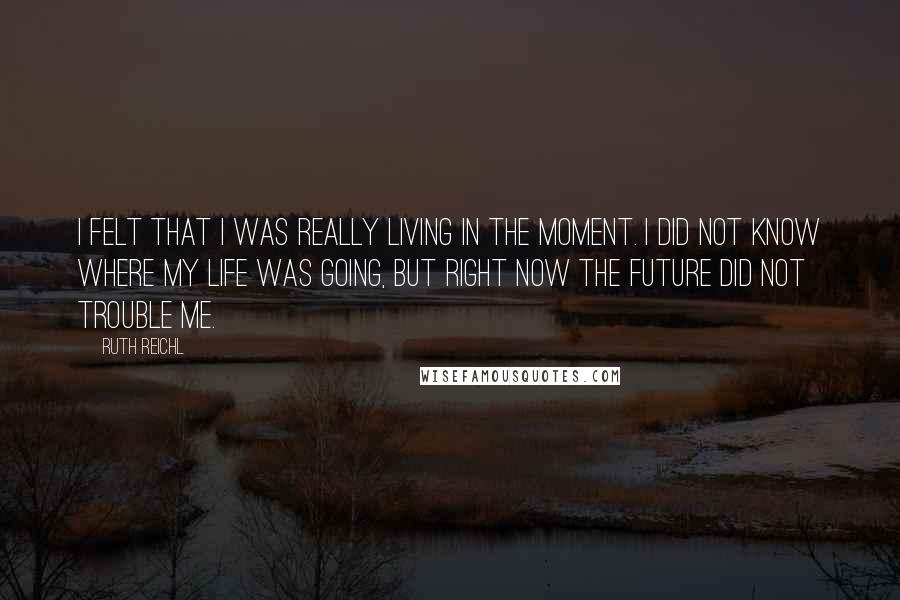 Ruth Reichl Quotes: I felt that I was really living in the moment. I did not know where my life was going, but right now the future did not trouble me.