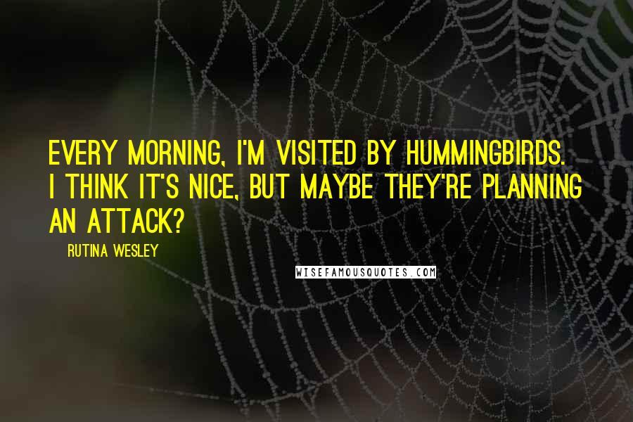 Rutina Wesley Quotes: Every morning, I'm visited by hummingbirds. I think it's nice, but maybe they're planning an attack?