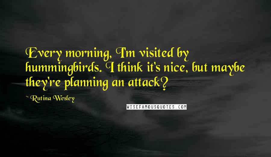 Rutina Wesley Quotes: Every morning, I'm visited by hummingbirds. I think it's nice, but maybe they're planning an attack?
