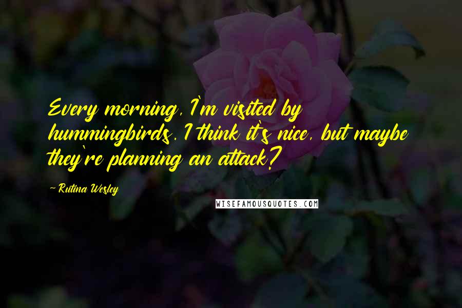 Rutina Wesley Quotes: Every morning, I'm visited by hummingbirds. I think it's nice, but maybe they're planning an attack?