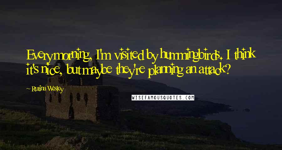 Rutina Wesley Quotes: Every morning, I'm visited by hummingbirds. I think it's nice, but maybe they're planning an attack?