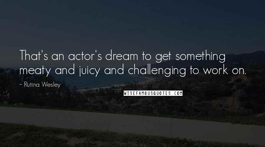 Rutina Wesley Quotes: That's an actor's dream to get something meaty and juicy and challenging to work on.