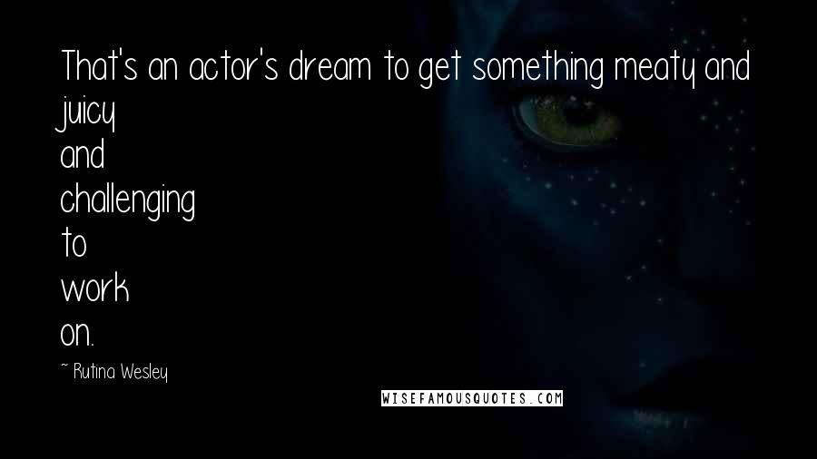 Rutina Wesley Quotes: That's an actor's dream to get something meaty and juicy and challenging to work on.