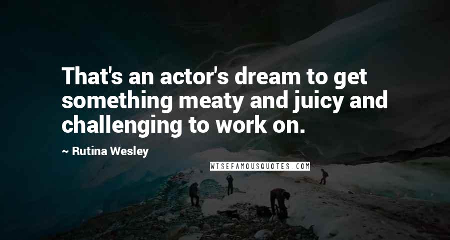 Rutina Wesley Quotes: That's an actor's dream to get something meaty and juicy and challenging to work on.