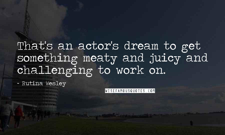 Rutina Wesley Quotes: That's an actor's dream to get something meaty and juicy and challenging to work on.