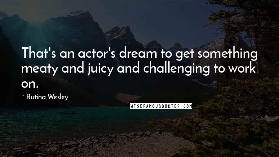 Rutina Wesley Quotes: That's an actor's dream to get something meaty and juicy and challenging to work on.