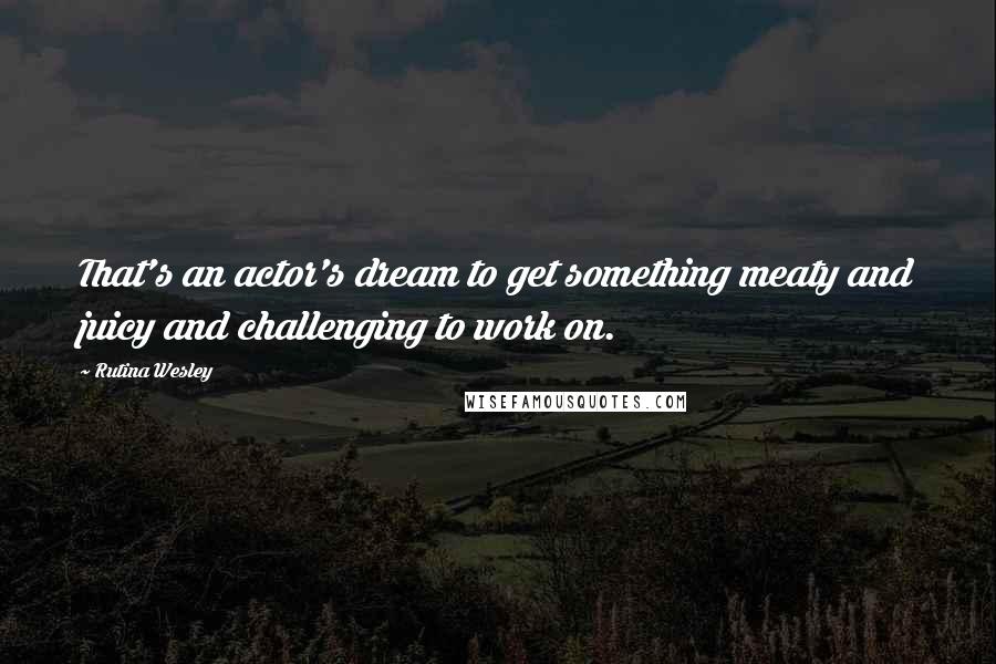 Rutina Wesley Quotes: That's an actor's dream to get something meaty and juicy and challenging to work on.