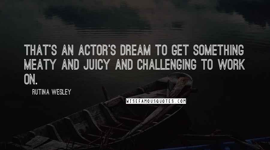 Rutina Wesley Quotes: That's an actor's dream to get something meaty and juicy and challenging to work on.