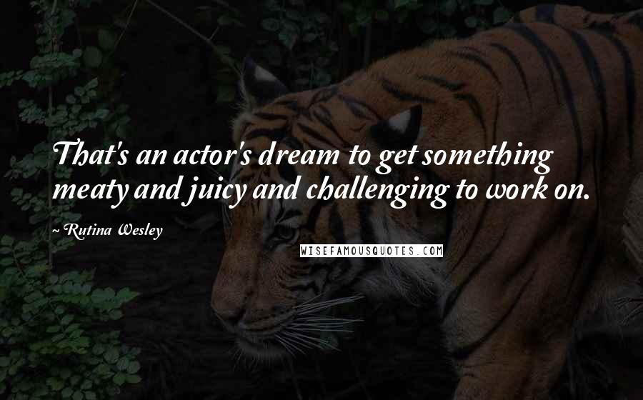 Rutina Wesley Quotes: That's an actor's dream to get something meaty and juicy and challenging to work on.