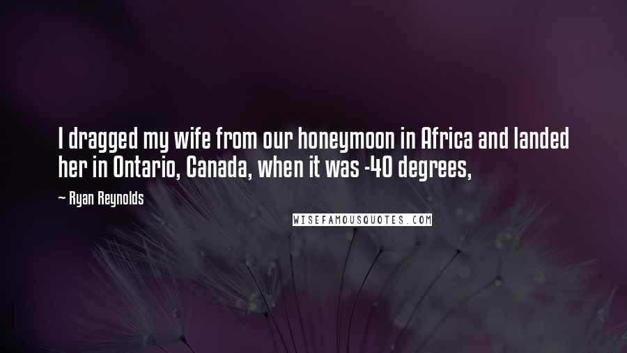 Ryan Reynolds Quotes: I dragged my wife from our honeymoon in Africa and landed her in Ontario, Canada, when it was -40 degrees,