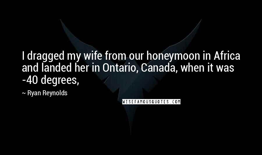 Ryan Reynolds Quotes: I dragged my wife from our honeymoon in Africa and landed her in Ontario, Canada, when it was -40 degrees,