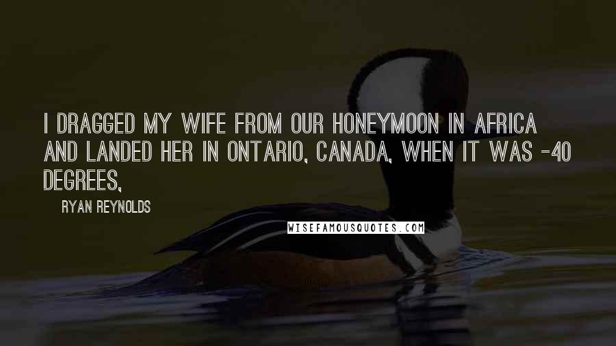 Ryan Reynolds Quotes: I dragged my wife from our honeymoon in Africa and landed her in Ontario, Canada, when it was -40 degrees,