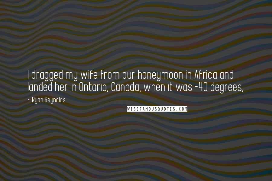 Ryan Reynolds Quotes: I dragged my wife from our honeymoon in Africa and landed her in Ontario, Canada, when it was -40 degrees,