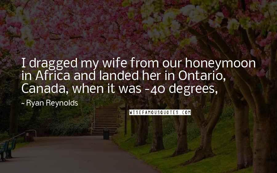 Ryan Reynolds Quotes: I dragged my wife from our honeymoon in Africa and landed her in Ontario, Canada, when it was -40 degrees,