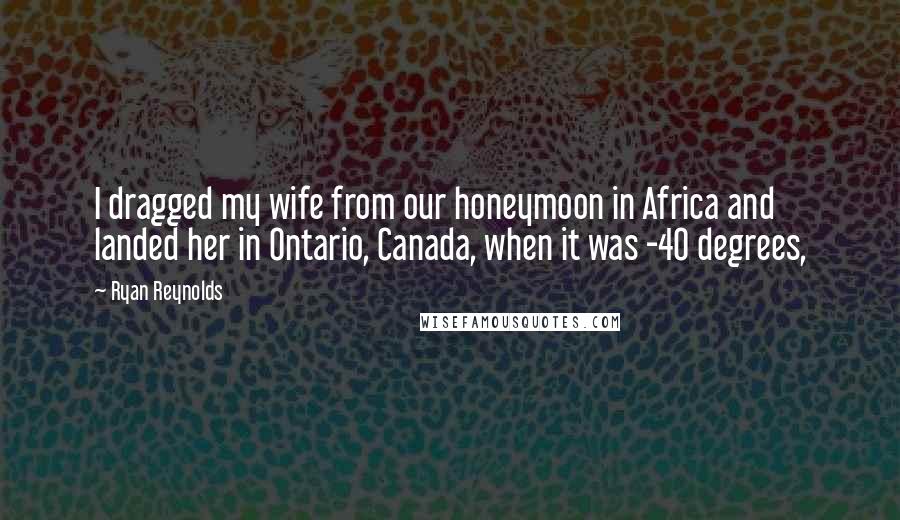 Ryan Reynolds Quotes: I dragged my wife from our honeymoon in Africa and landed her in Ontario, Canada, when it was -40 degrees,