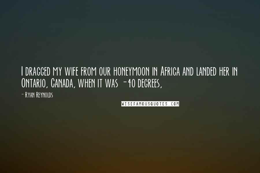 Ryan Reynolds Quotes: I dragged my wife from our honeymoon in Africa and landed her in Ontario, Canada, when it was -40 degrees,
