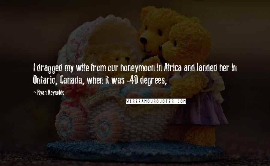 Ryan Reynolds Quotes: I dragged my wife from our honeymoon in Africa and landed her in Ontario, Canada, when it was -40 degrees,